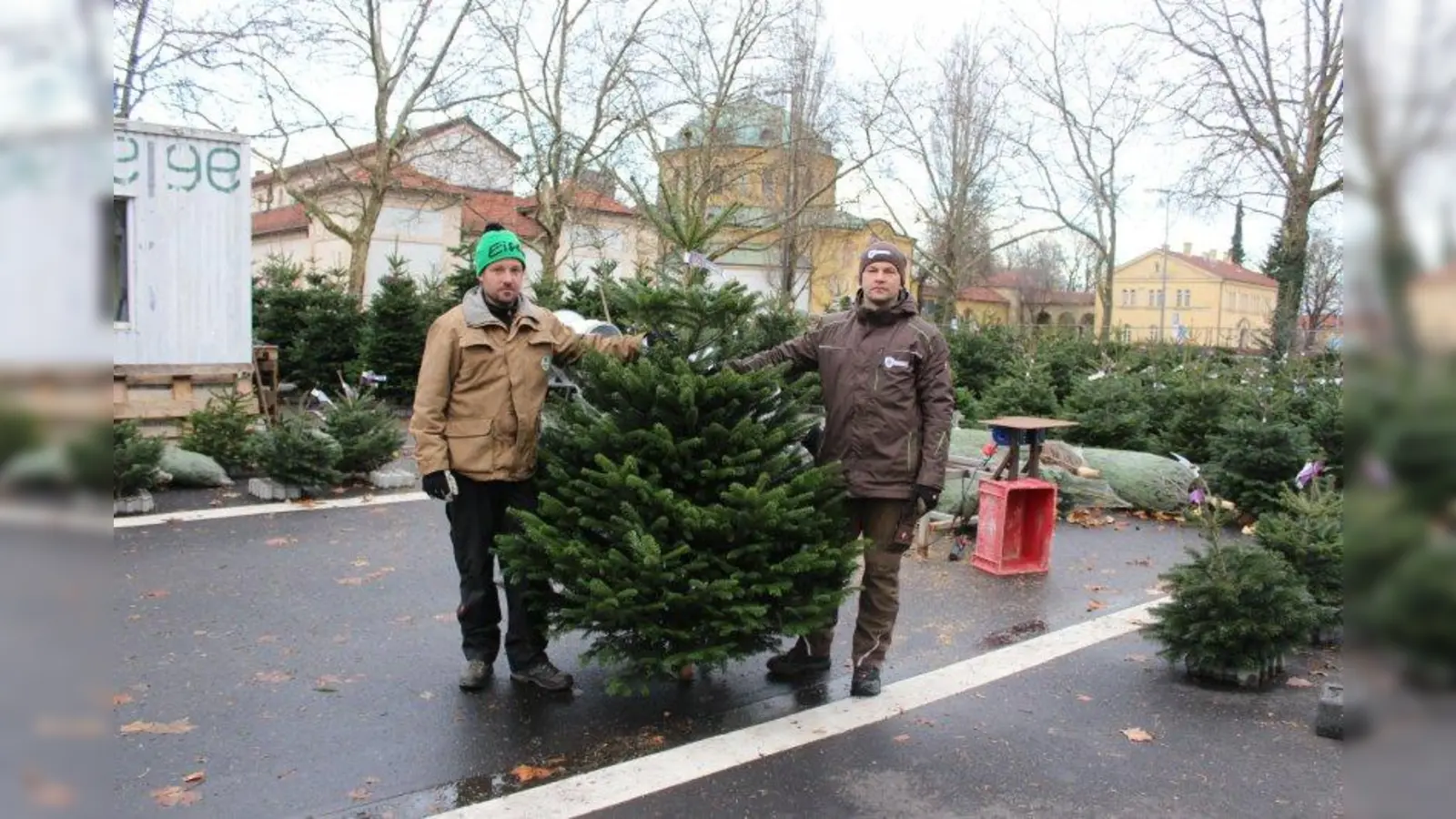Kämpfen für den Verbleib: Michael Spiegl (l.) und André Papsch vom Grandl-Hof können nicht nachvollziehen, warum der Weihnachtsbaumverkauf nach 26 Jahren nicht mehr auf dem Parkplatz vor dem Westfriedhof erlaubt sein soll. (Foto: sb)