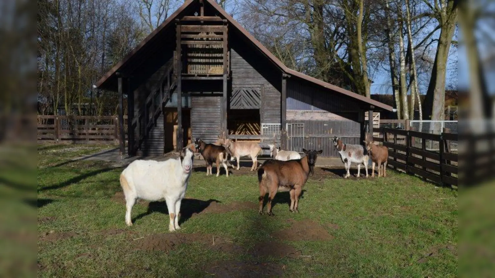 Idyllisch und belebt: Der Gnadenhof des Tierschutzvereins München gleicht einem großen Bauernhof. (Foto: eis)