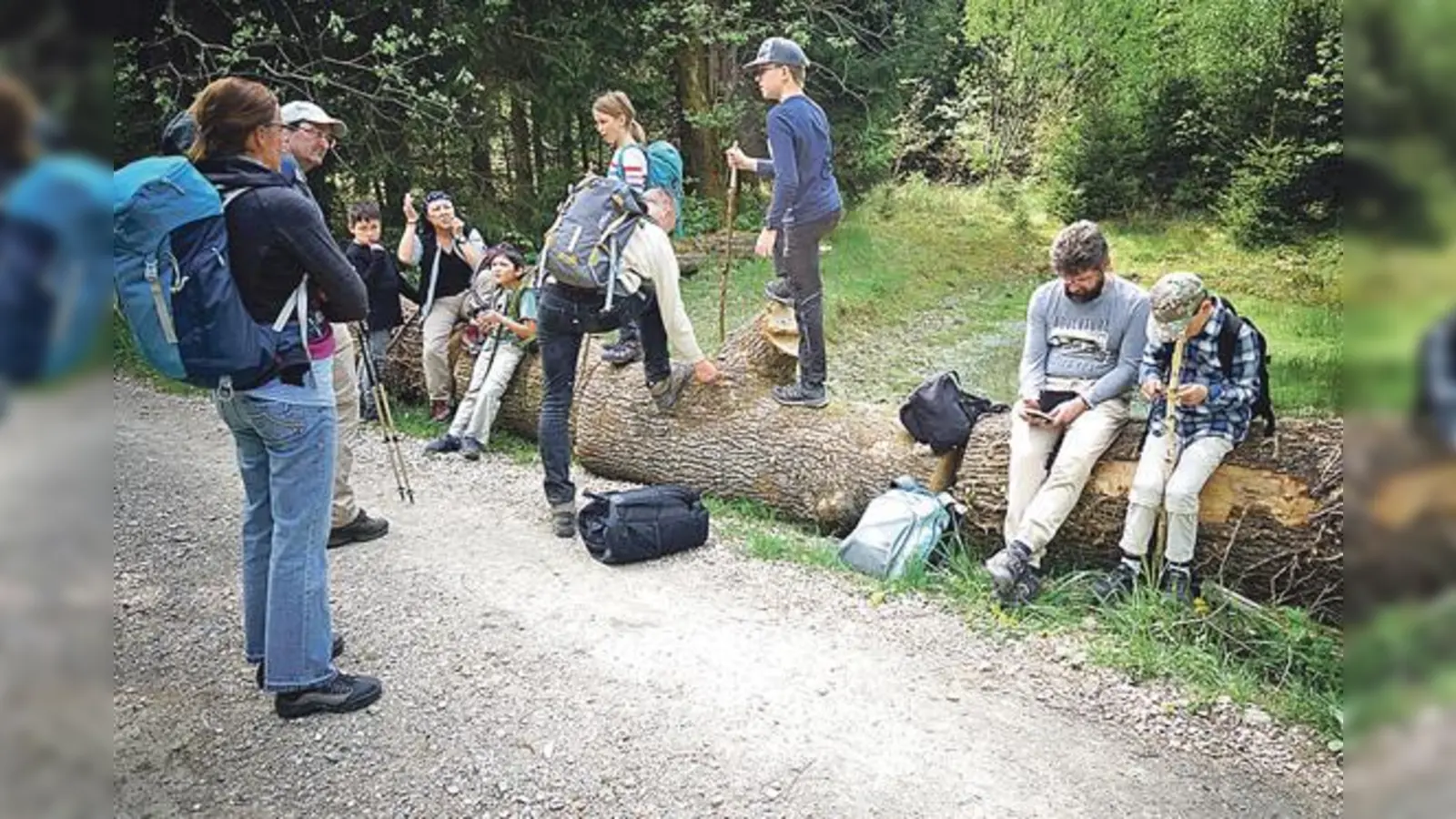 Die Wanderguppe bei einer Rast in einem Biotop zwischen Purfing und Hergolding.	 (Foto: wig)