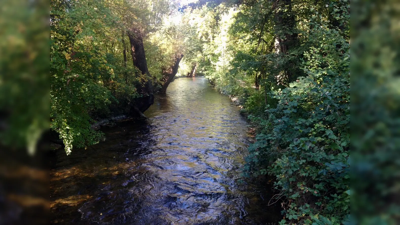 Die Würm ist ein idyllischer kleiner Fluss. Bei einem extremen Hochwasser könnte es aber auch hier ungemütlich werden. (Foto: bb)