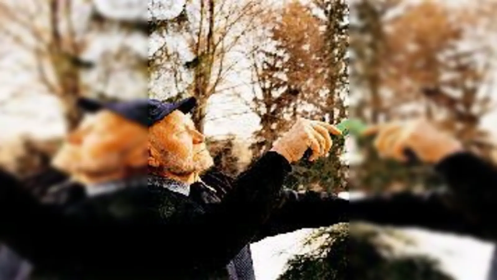 Der Naturfreund Hans Wilhelm Pfeiffer in seinem Garten. 	 (Foto: Menzing und Kunst)