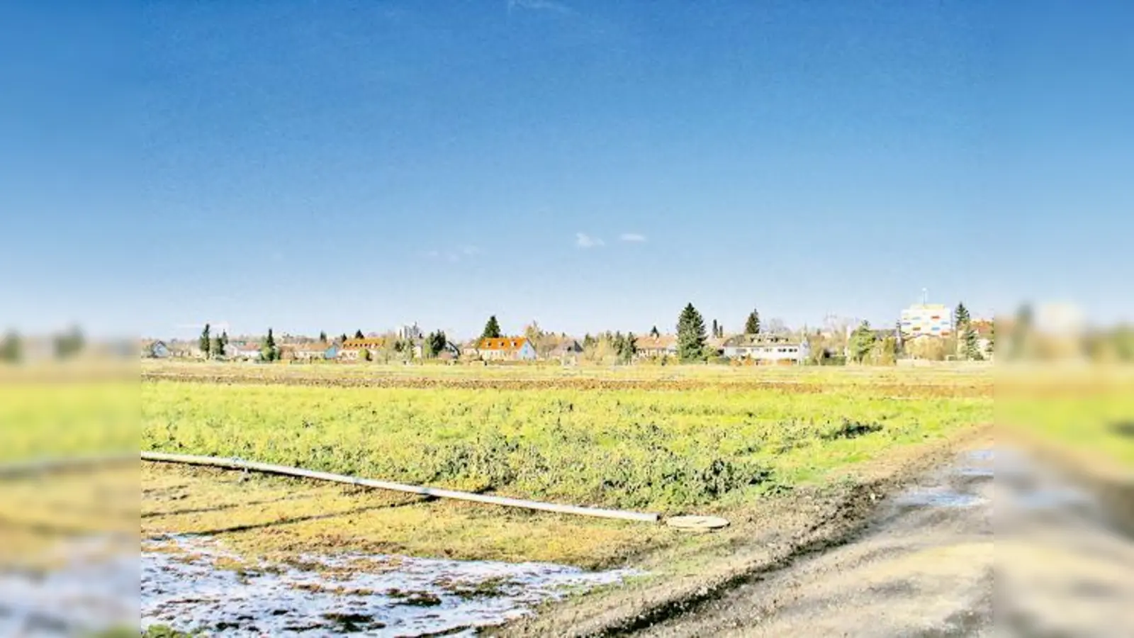 Noch beackern Bauern das Feld an der Hochäckerstraße, bald jedoch sollen hier 1.000 Wohnungen entstehen.	 (Foto: aha)