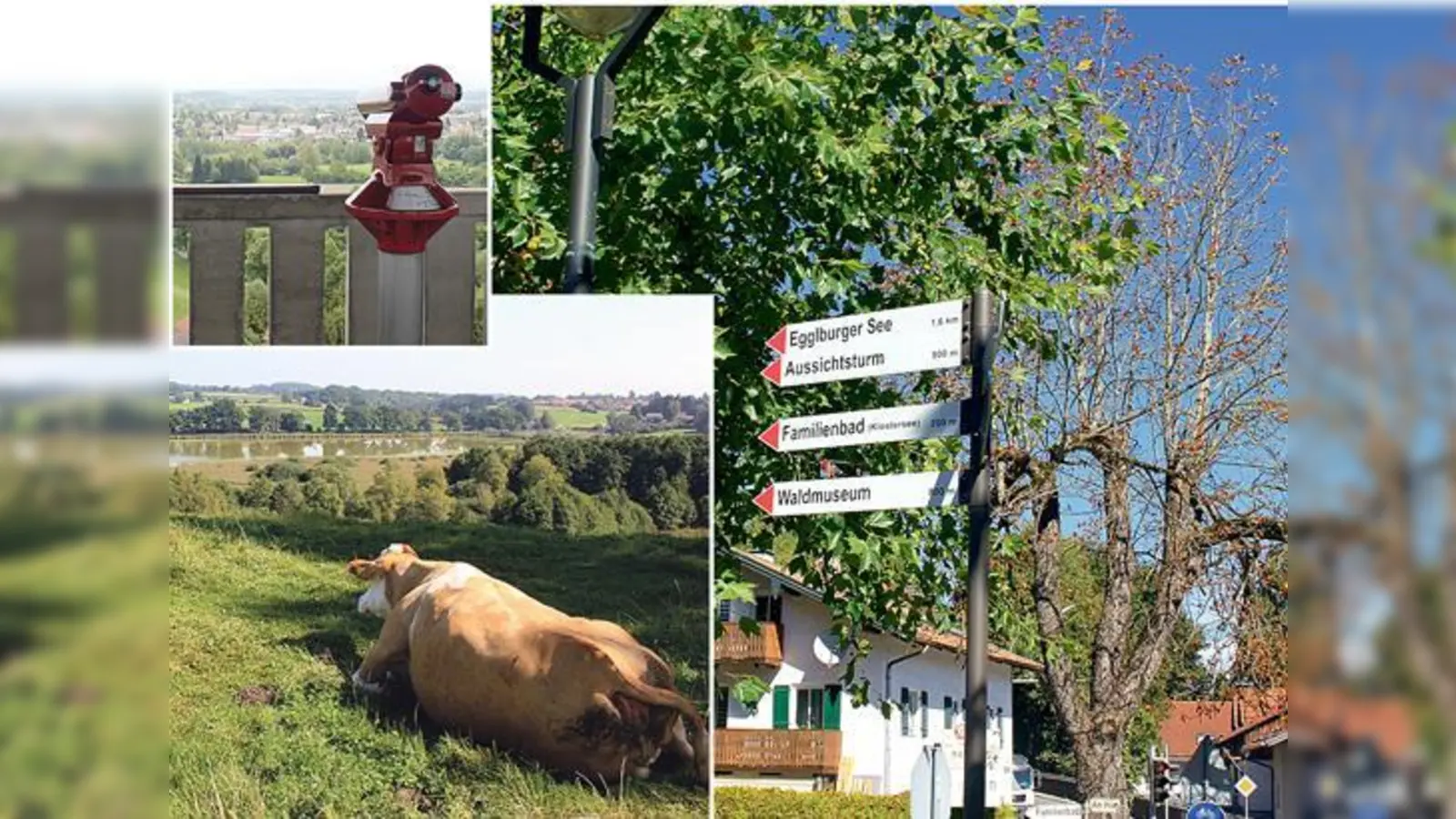 Freizeitmöglichkeiten bietet der Landkreis eine jede Menge. Von zahlreichen Rad- und Wanderwegen, urigen Badeseen und ebensovielen Sehenswürdigkeiten.	 (Foto: Stefan Dohl)
