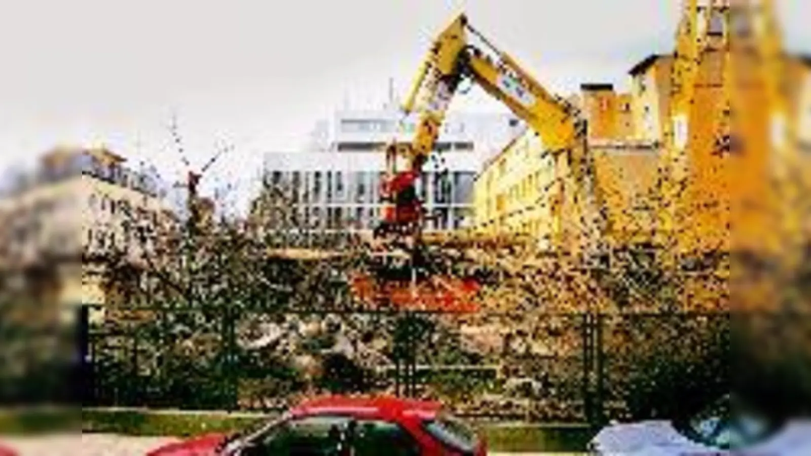 In der Siegesstraße fallen die Bäume. Anwohner sind empört.	 (Foto: Privat)