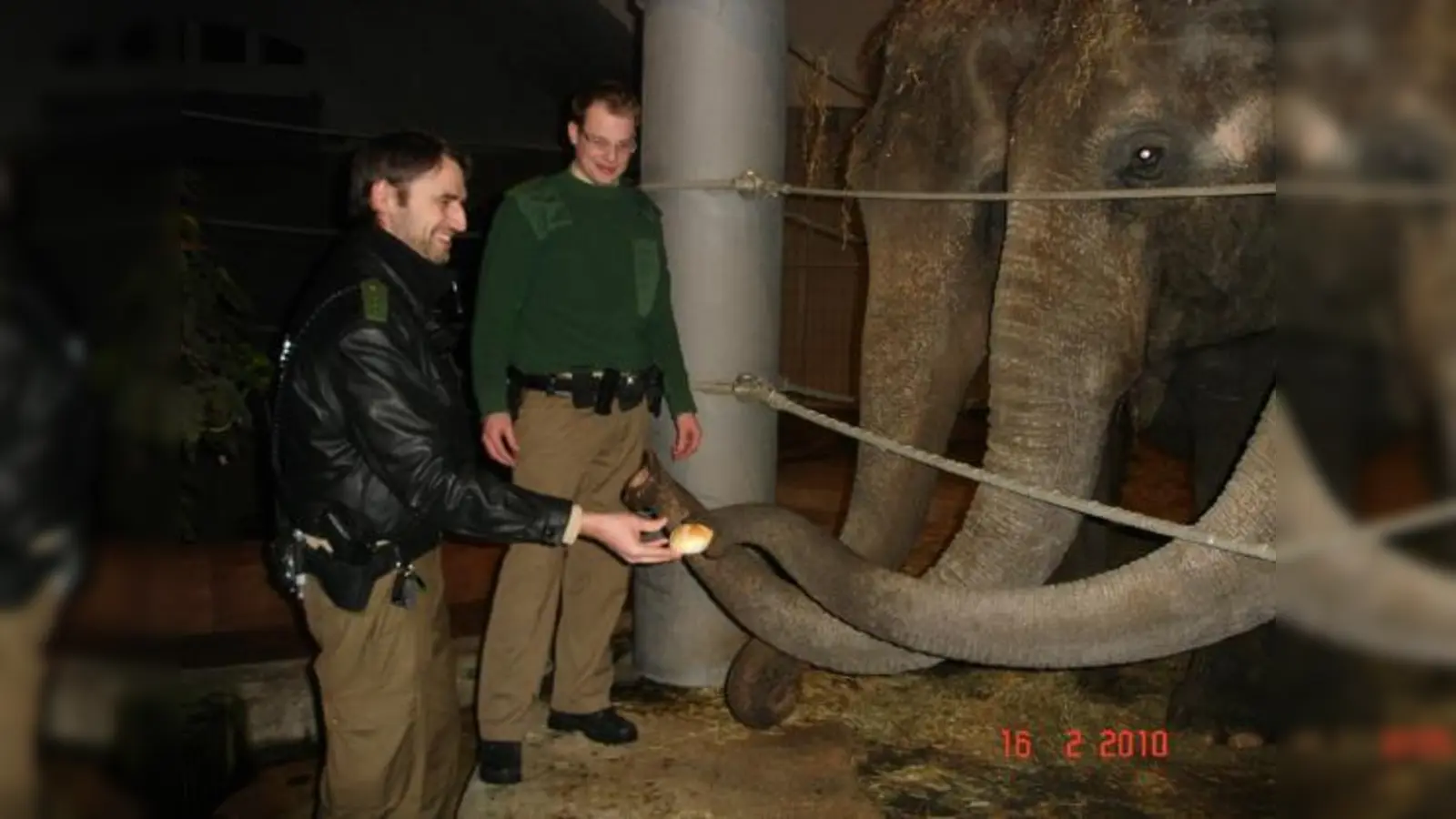 Elefantenfütterung: Die Polizei rückte mit 2.000 Semmeln im Tierpark Hellabrunn an.  (Foto: Polizei)