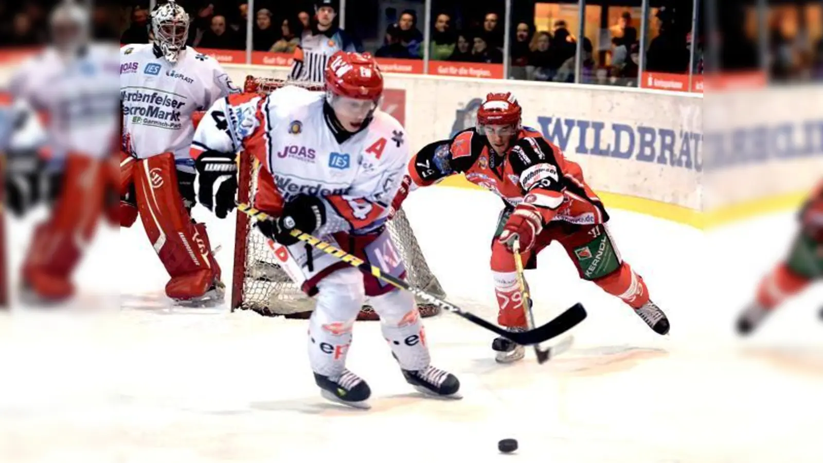 Keine ruhigen Feiertage: Der EHC muss oft ran in den kommenden Tagen. Auch Stürmer Thomas Hummer (r.), hier im Spiel gegen den EC Peiting.	 (Foto: smg/Nicky Alexander)
