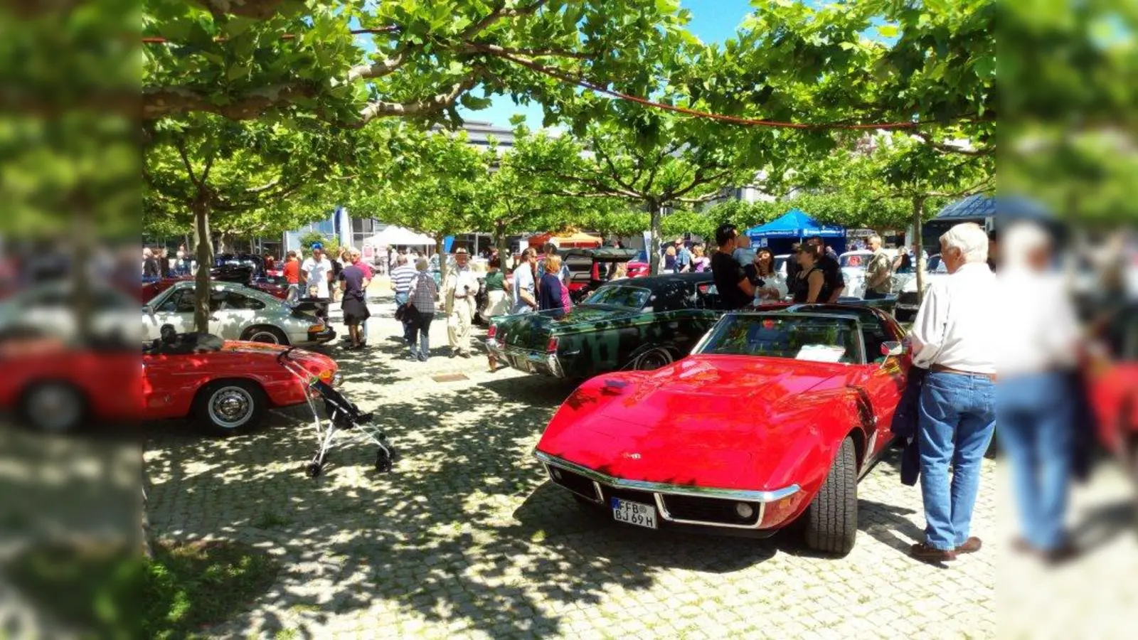 Unter den Platanen standen Raritäten der Extraklasse wie dieser schnittige Bolide. (Foto: pst)