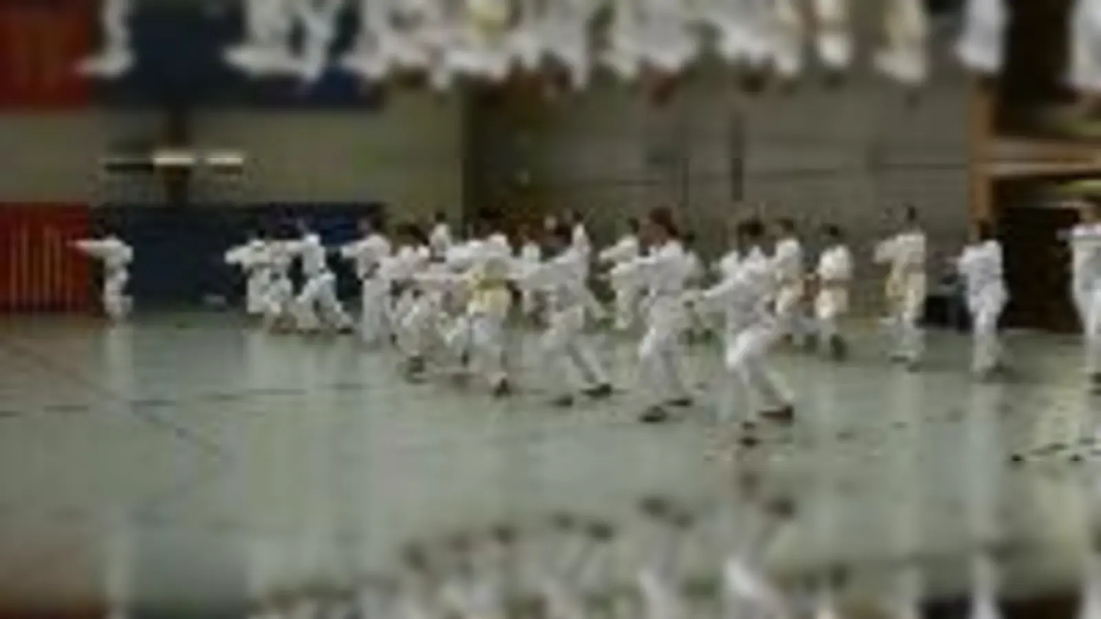 Karate macht fit und baut Stress ab.  (Foto: VA)