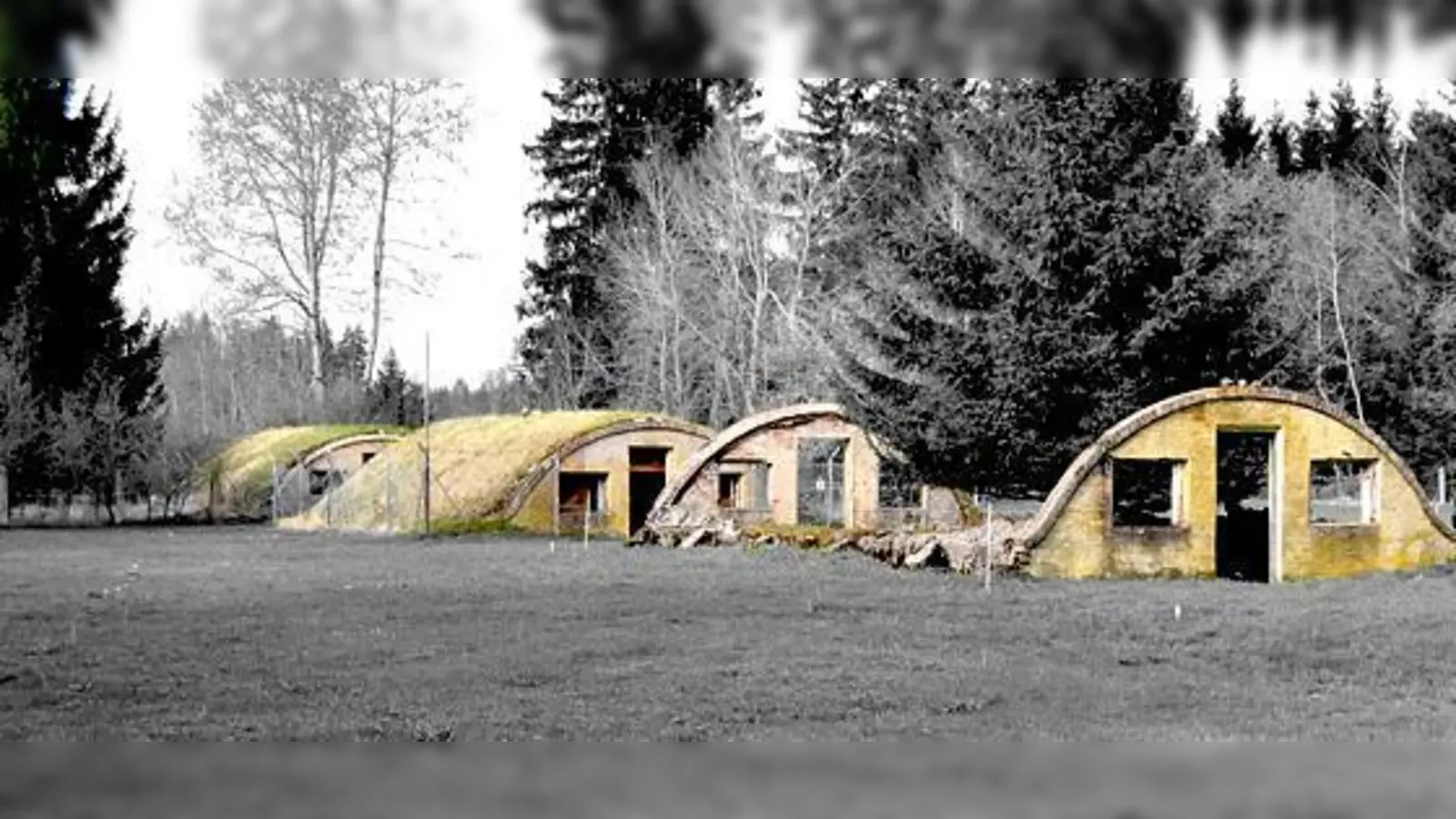 Junge Deutsche und Franzosen haben sich mit der NS-Geschichte auseinandergesetzt.	 (Foto: VA)