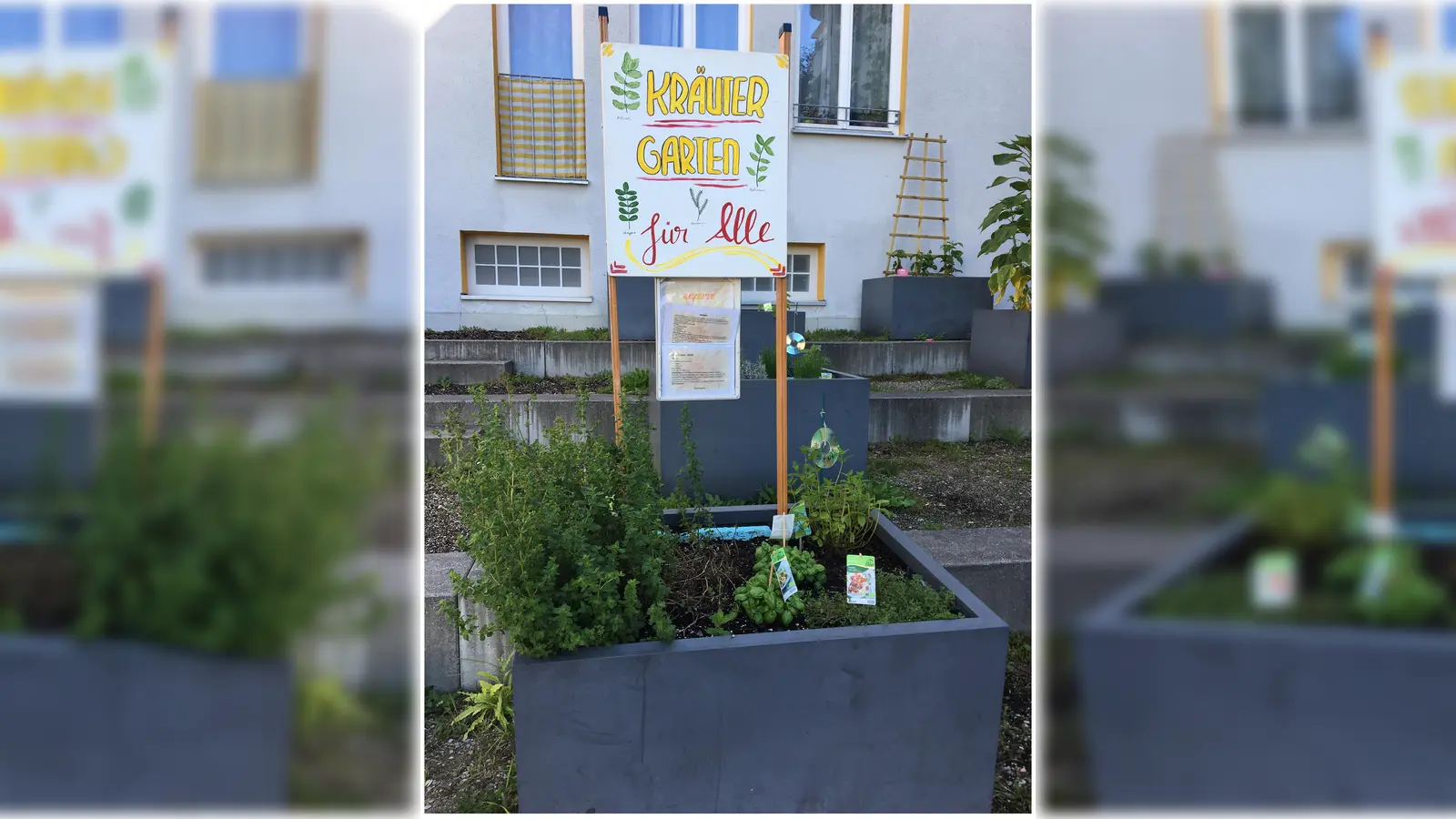 Der Kräutergarten des Nachbarschaftstreff Oslostraße ist frei zugänglich und die Ernte kostenlos. (Foto: VA)