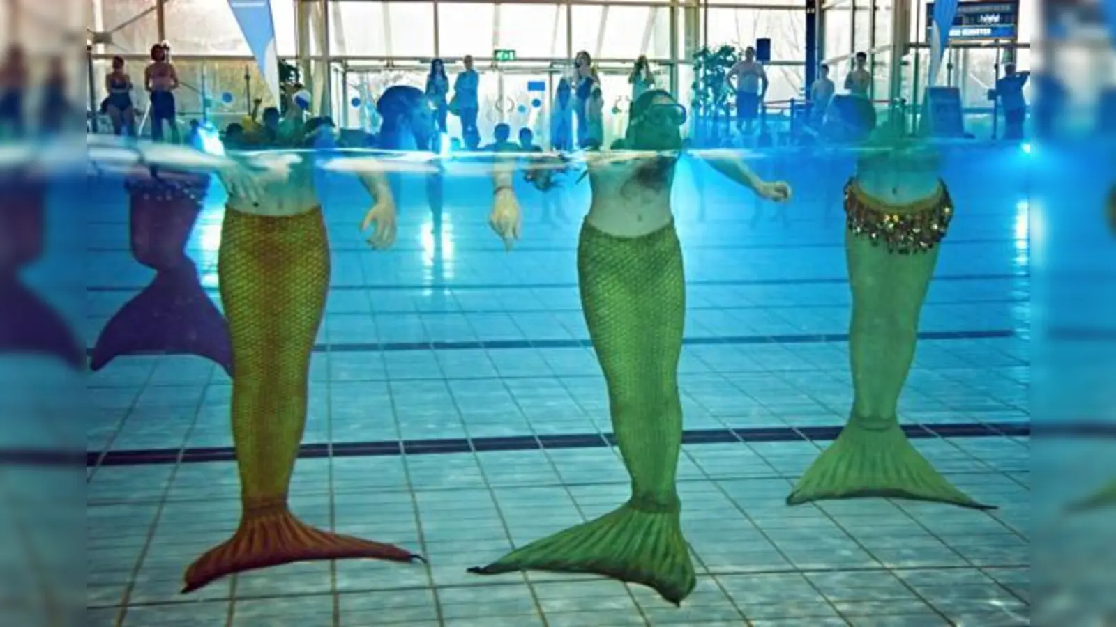 Das M-net Münchner Wassersportfestival wird am 13. März viele Highlights für die Besucher bieten.	 (Foto: VA)