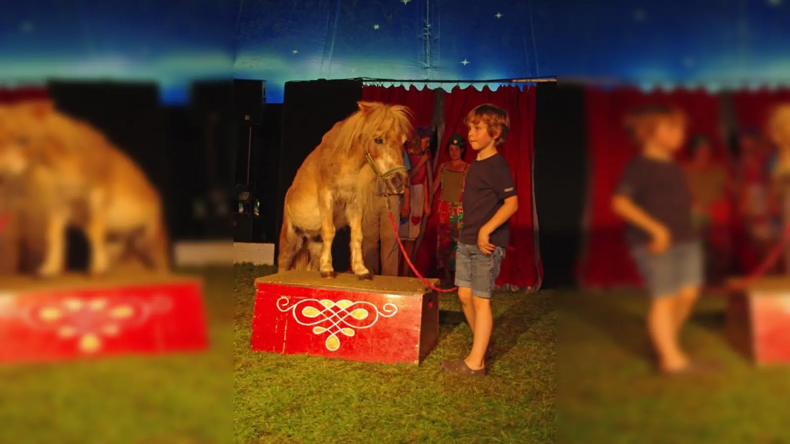 Auch Tierdressur wurde bei der Ferienbetreuung  »unterrichtet«.	 (Foto: VA)