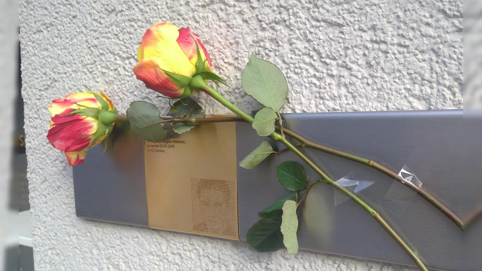 Erinnerungszeichen für Georg Pöltl in der Ismaninger Straße 77: Er war eines von zahlreichen Opfern des Nationalsozialismus in Bogenhausen. (Archivbild: bas)