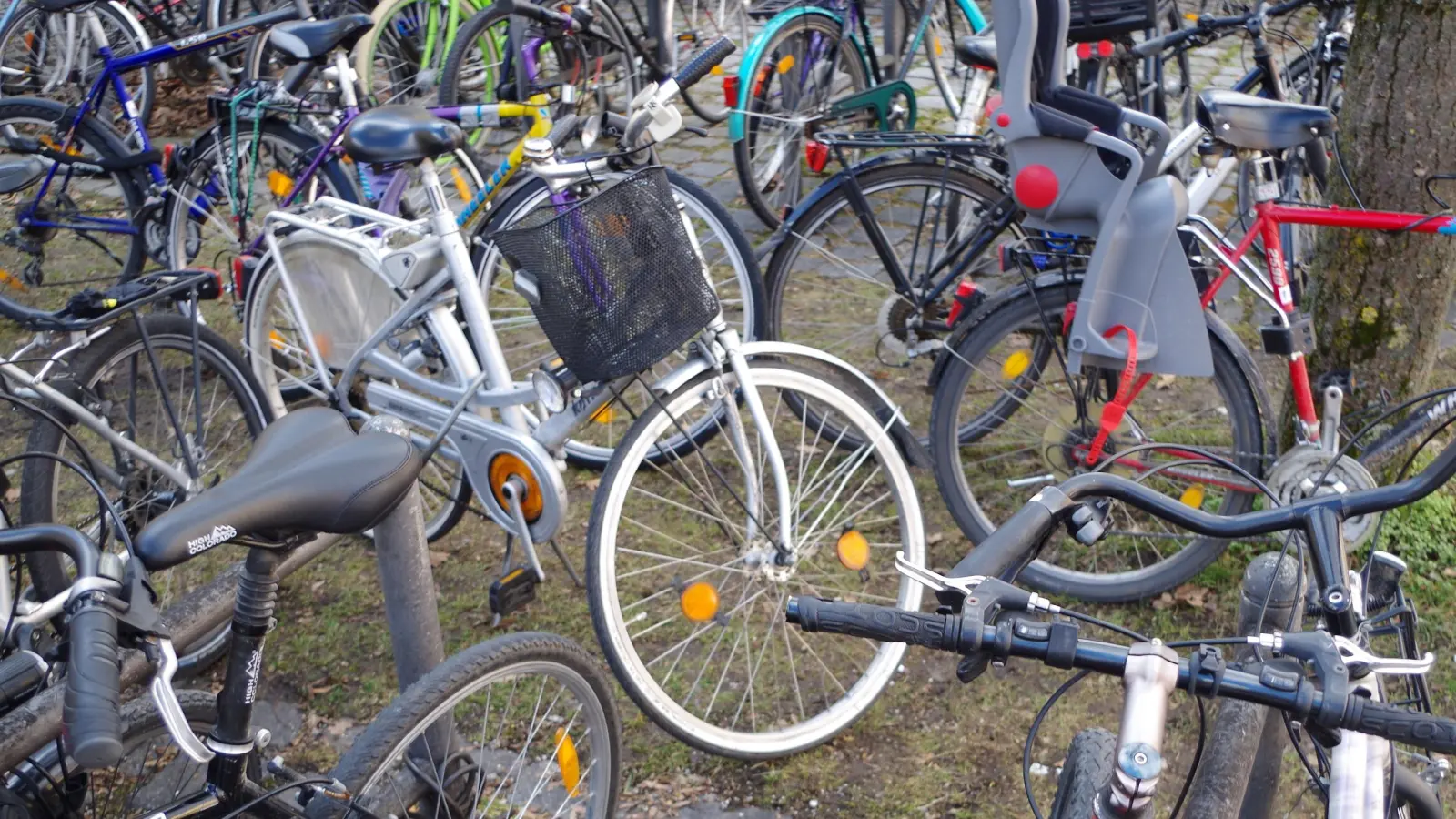 Radfahren sorgt für bessere Luft und schützt das Klima. Beim „Stadtradeln” kann man darüber hinaus drei Wochen lang Kilometer für eine bessere Zukunft sammeln. (Foto: Beatrix Köber)