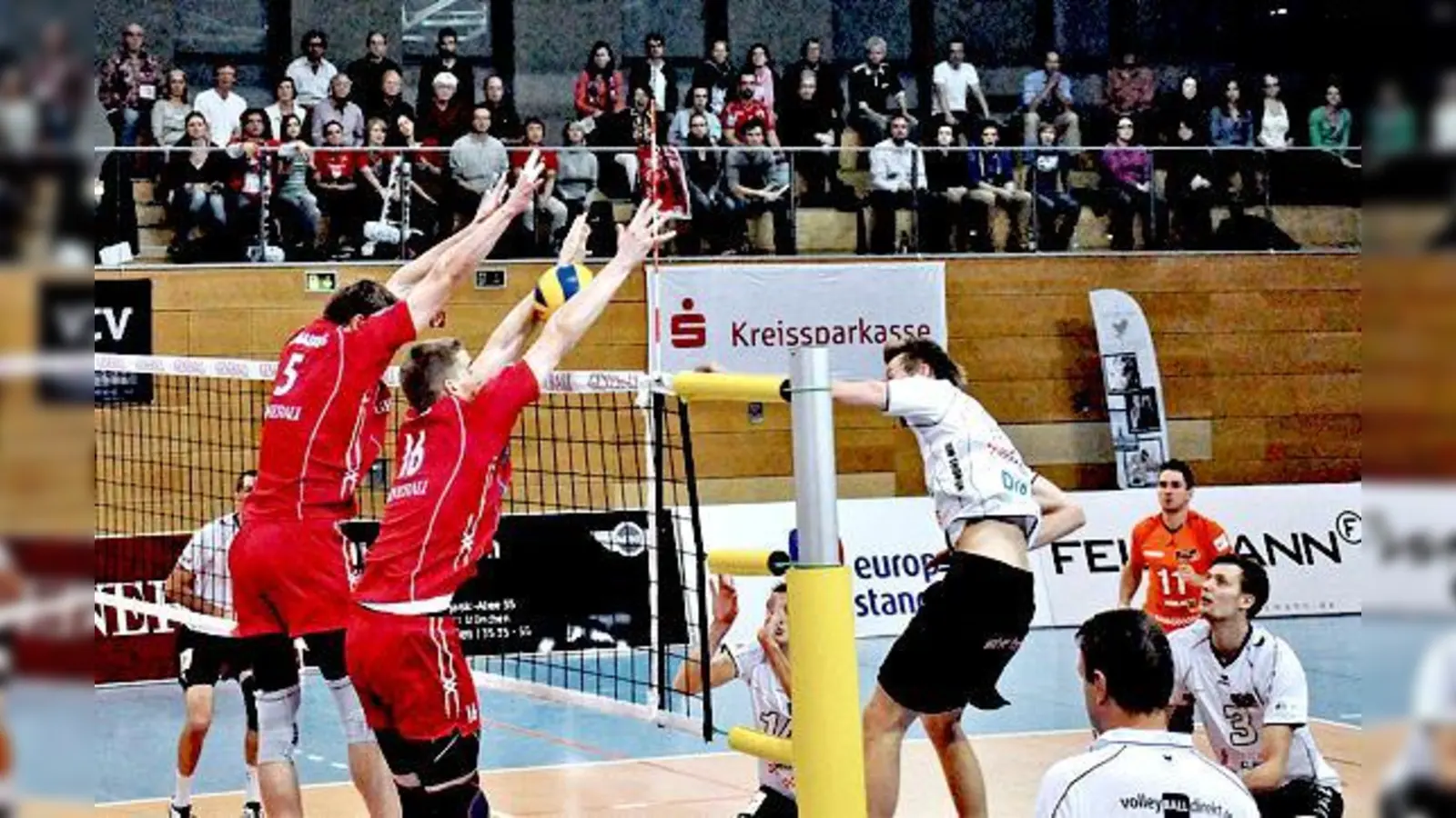 Im DVV-Pokal war Generali Haching gegen die Berliner erfolgreich. In der Liga mussten sie aber schon die zweite Niederlage hinnehmen.	  (Foto: Verein)
