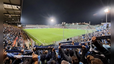 Volles Haus: die Löwen im Unterhachinger Sportpark. (Foto: M. Forster)