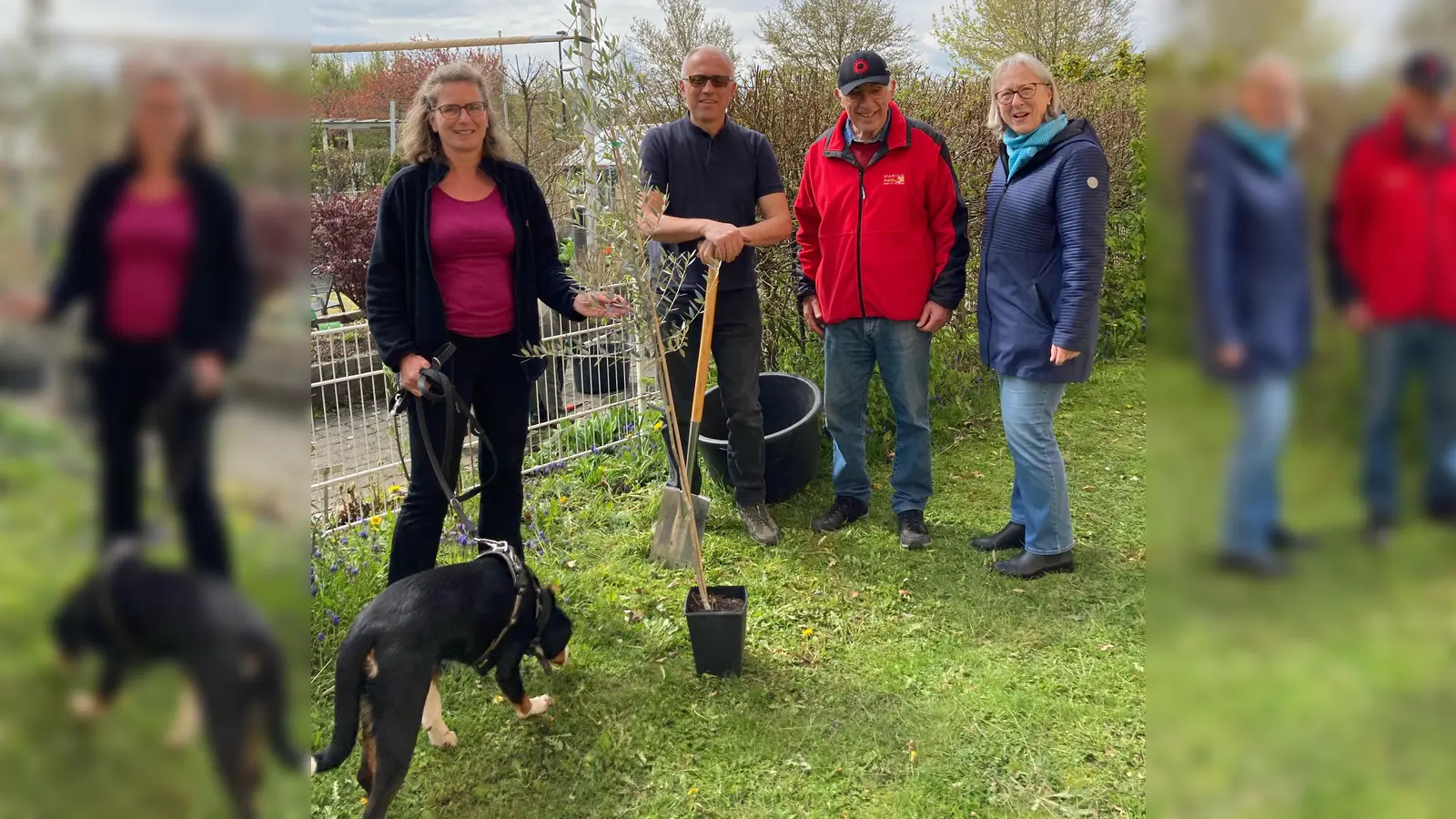Dani Palme (Garten der Begegnung) und Antonio Deducia, Bruno Diazzi sowie Rita Bulgarelli Diazzi vom Deutsch-Italienischen Verein (v.l.) pflanzten den Olivenbaum gemeinsam ein.<br><br> (Foto: red)
