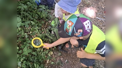 Was krabbelt da? Die Kinder gehen regelmäßig auf Entdeckungstour in den Wald. (Foto: WuMS)