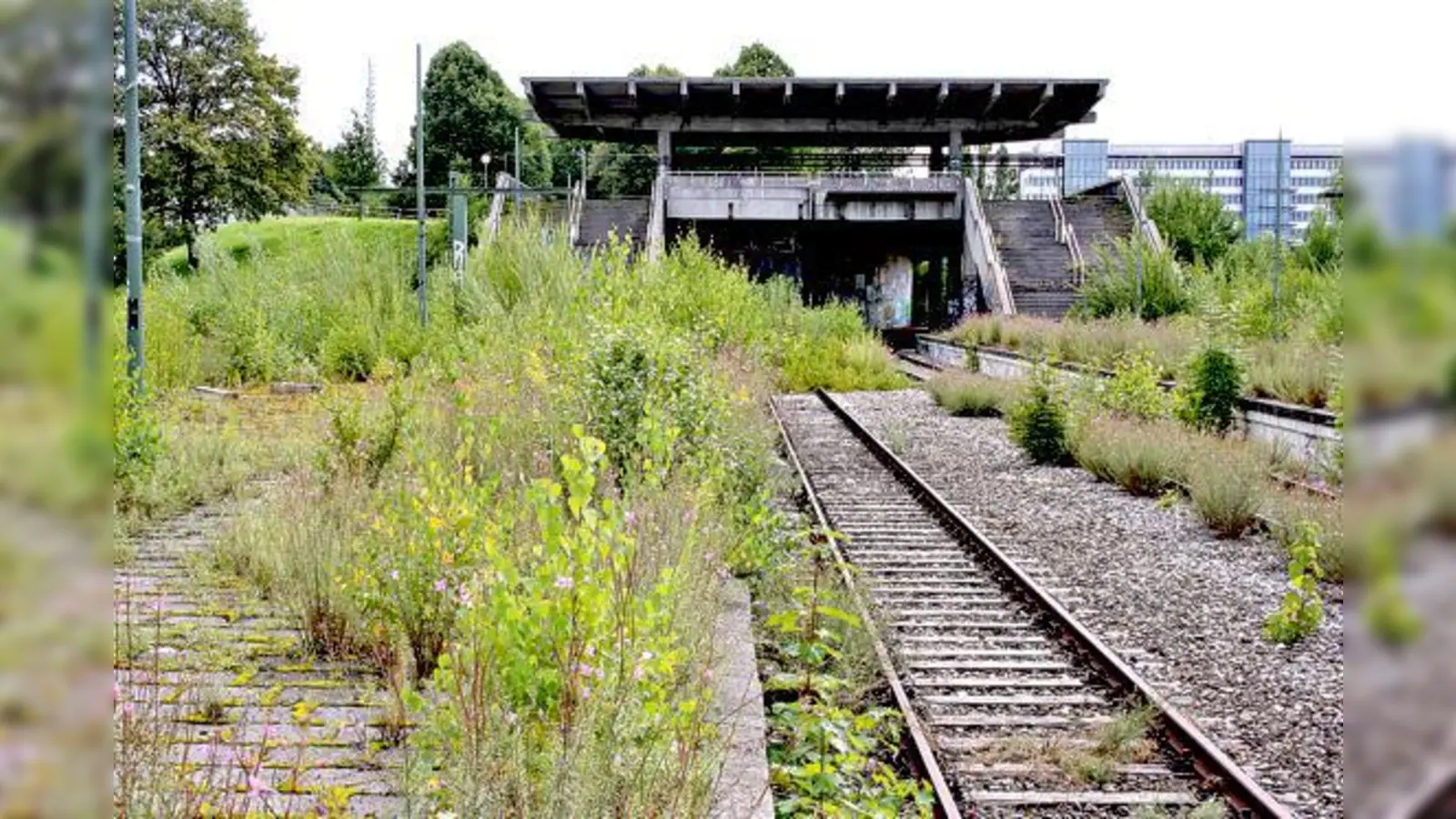 Die Stadt möchte die ausrangierte Bahnhofsanlage künftig als übergeordnete Grünverbindung nutzen und damit den Olympiapark erweitern. 	 (Foto: ws)