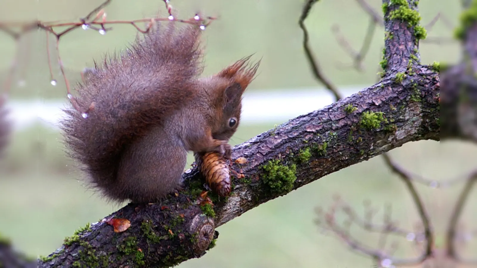 Die Mitglieder des Fotokreises haben das Thema Baum in den Mittelpunkt ihrer Arbeit gestellt. (Foto: Bernd Hofmann)