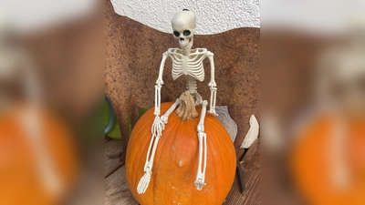 Deko für die nächste Halloween-Party findet man auf dem Flohmarkt. (Foto: hw)