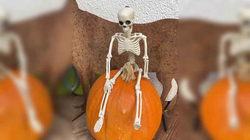 Deko für die nächste Halloween-Party findet man auf dem Flohmarkt. (Foto: hw)
