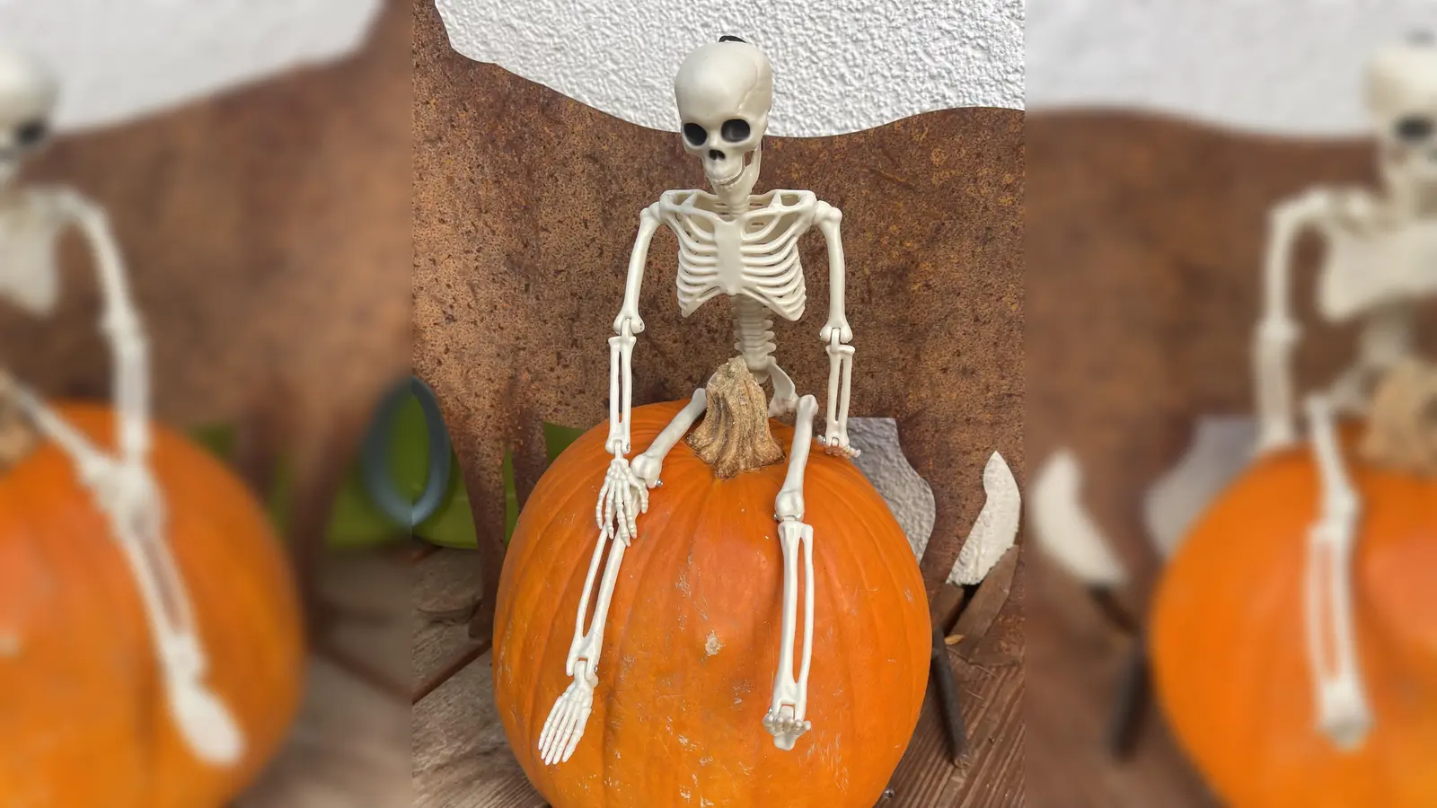 Wer zu Halloween Kürbisse kaufen wollte, musste deutlich tiefer in die Tasche greifen als letztes Jahr. (Foto: hw)