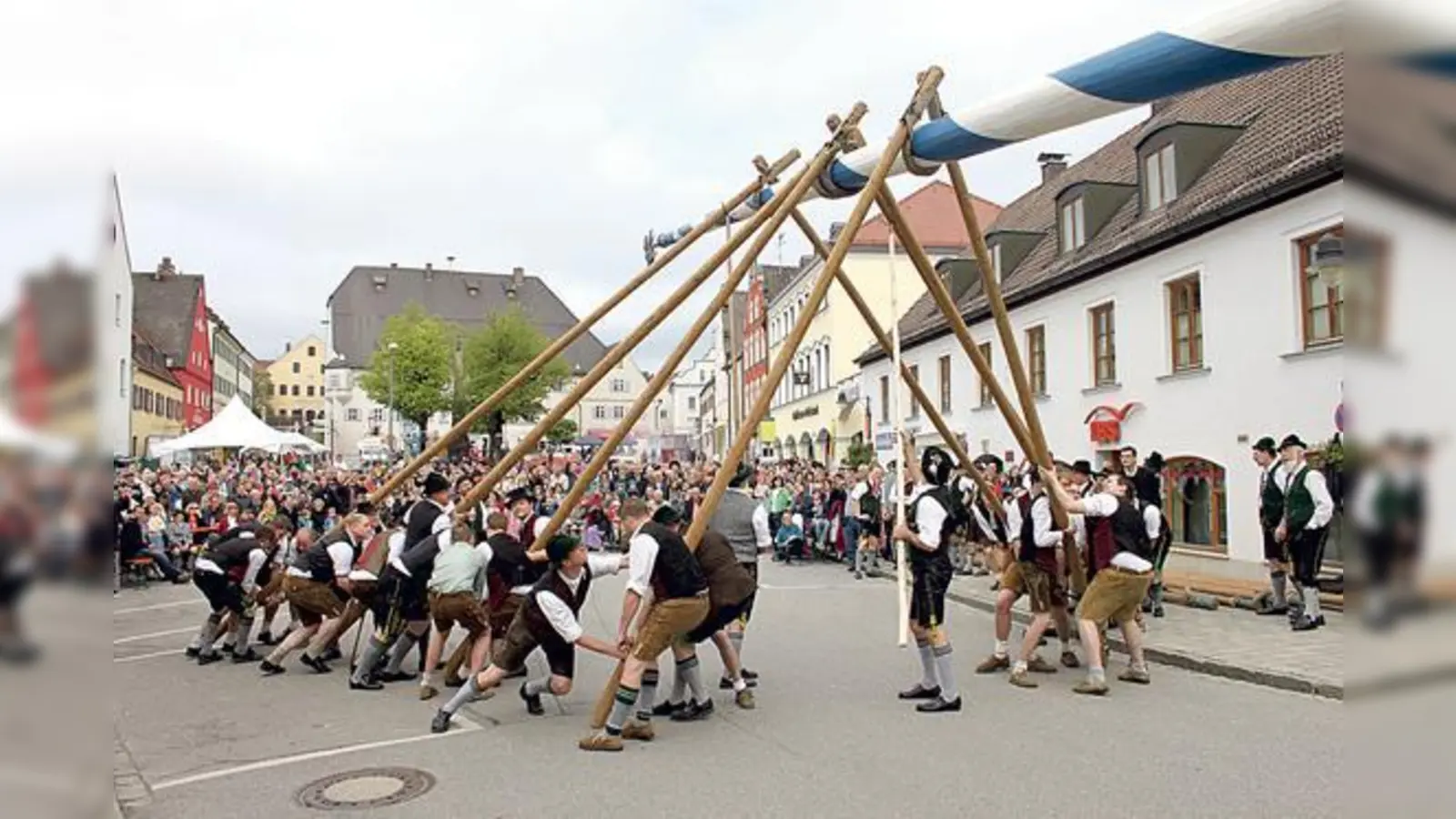 Am 1. Mai wird der neue Ebersberger Maibaum ab 10 Uhr per Hand aufgestellt.	  (Foto: Barbara Lang)