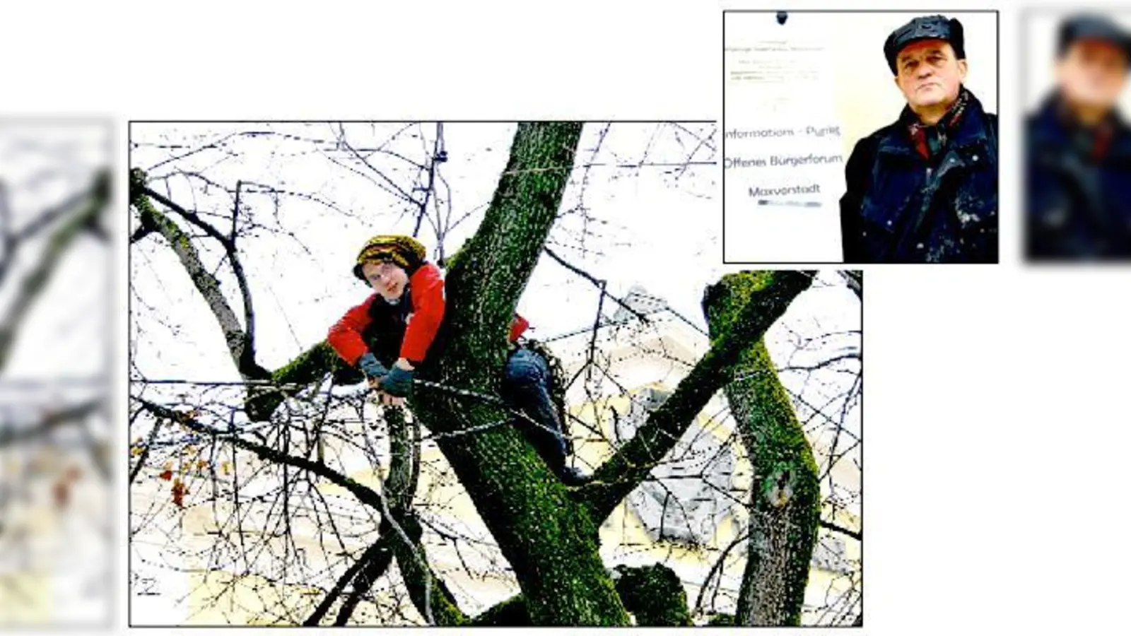 Die Aktivisten von Robin Wood wollen die Baumfällungen am Josephsplatz mit allen Mitteln verhindern. Deswegen »besetzen« sie die Bäume. Gerd Eickelberg (kl. Foto) wäre für eine gedeckelte Variante der Tiefgarage gewesen.  (Fotos: scy)