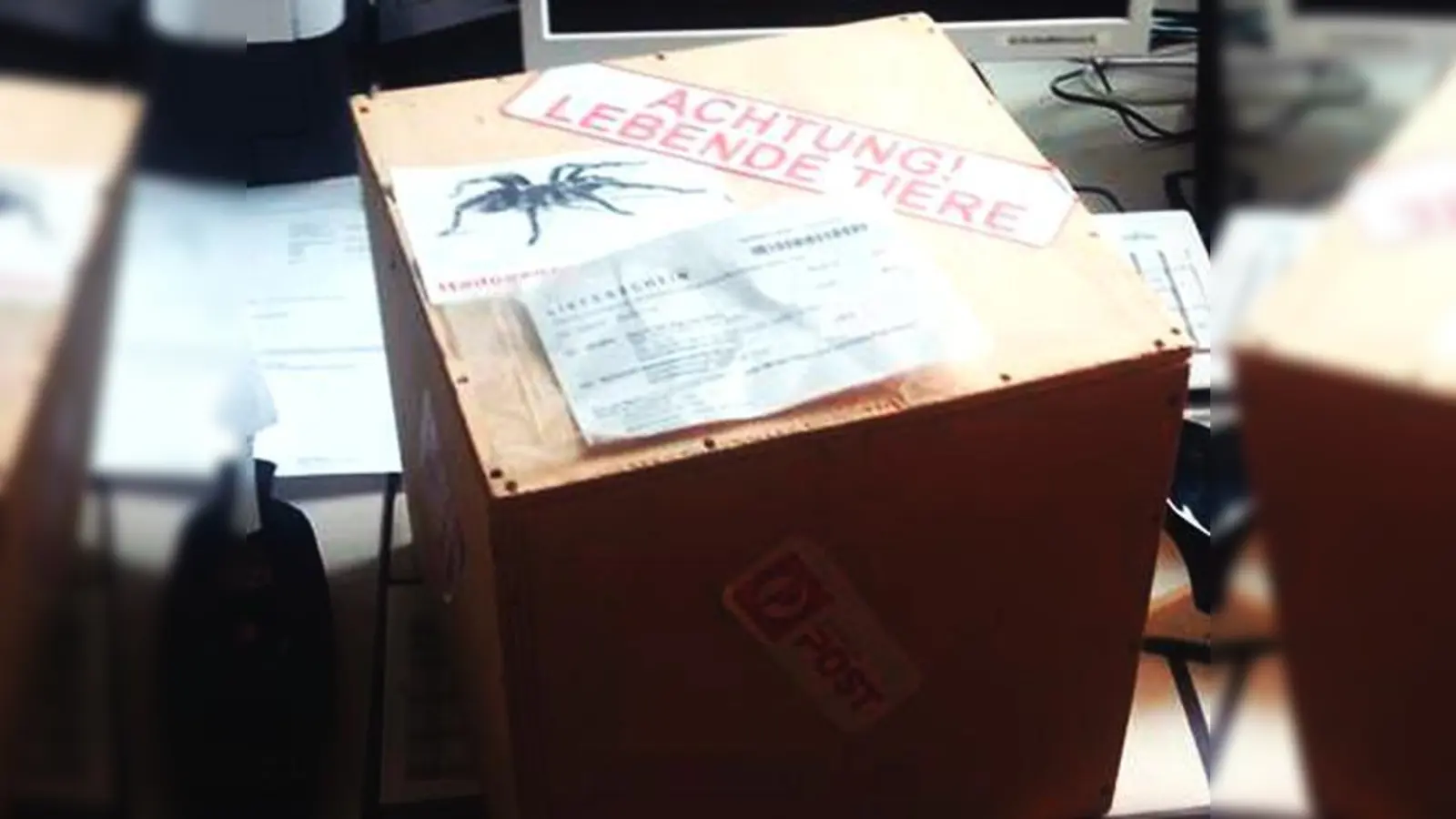 Die Kiste mit der Aufschrift »Achtung! Lebende Tiere« erpuppte sich als inhaltslos.	 (Foto: PI Poing)