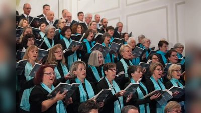 Der Chor von St. Emmeram mit Gesangsolisten und Berufsmusiker aus Münchener Orchestern bringen Haydns Werk zur Aufführung. (Foto: VA)
