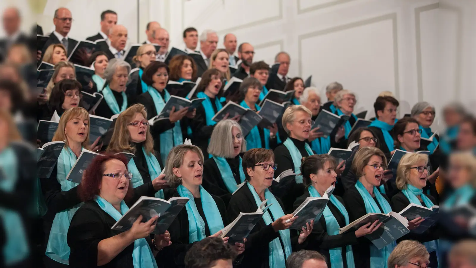 Der Chor von St. Emmeram mit Gesangsolisten und Berufsmusiker aus Münchener Orchestern bringen Haydns Werk zur Aufführung. (Foto: VA)