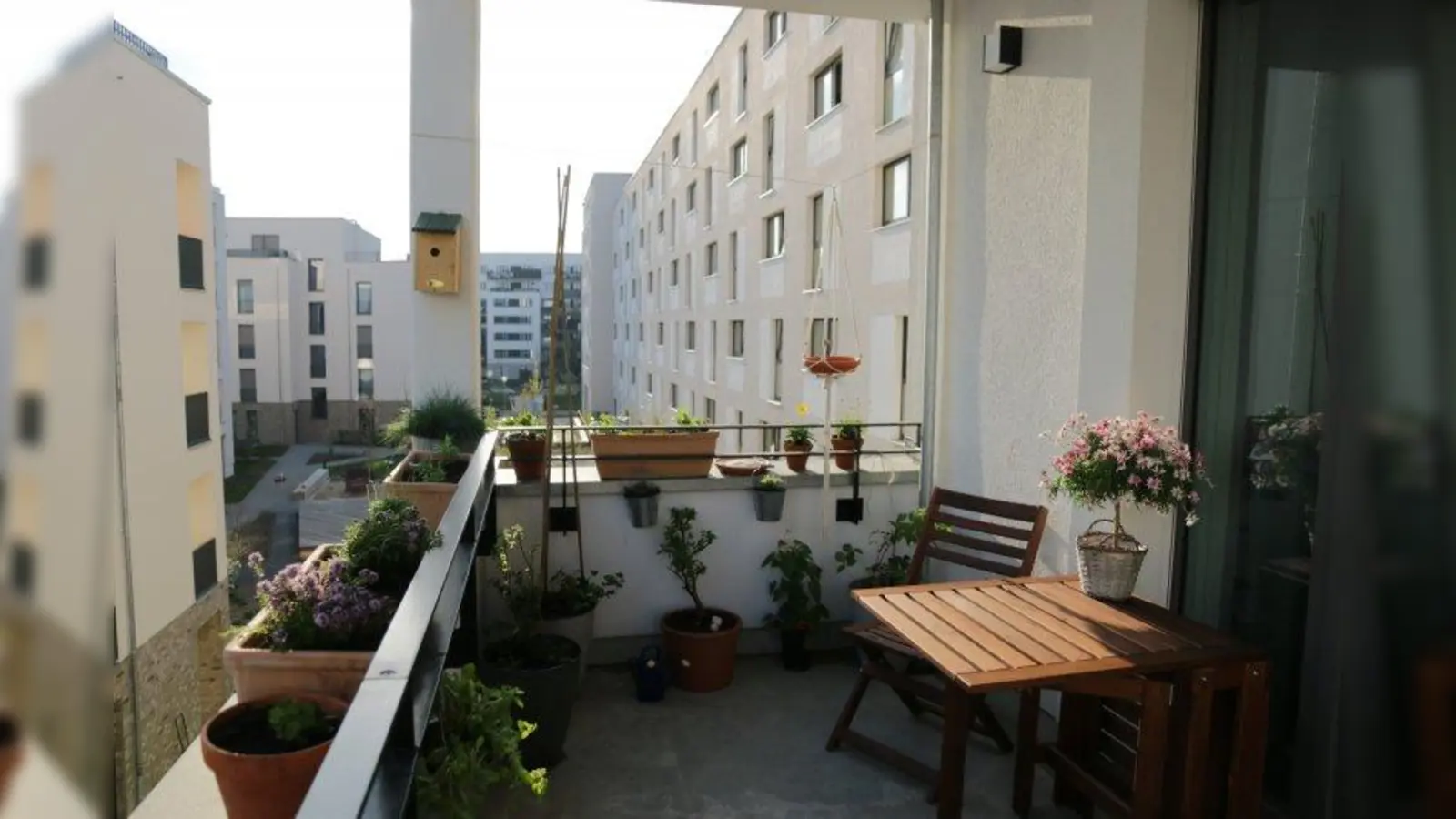 Jeder Balkon kann zu einem kleinen Insektenparadies werden. (Foto: NABU/Melanie Konrad)