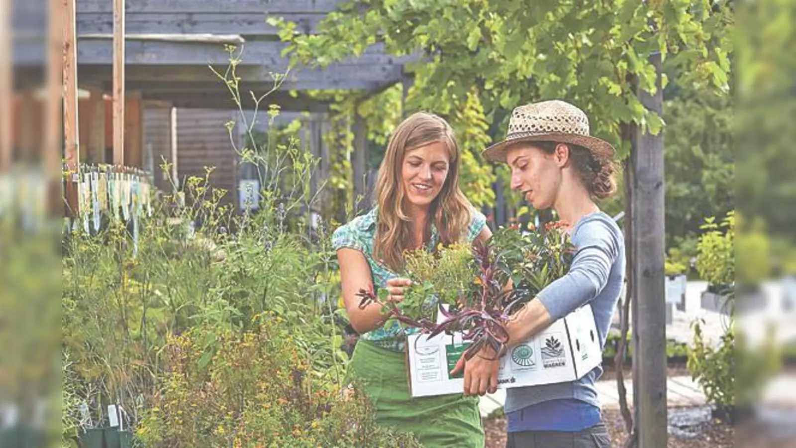 Im Botanischen Garten gibt es am Sonntag vom Aussterben bedrohte Raritäten.	 (Foto: VA)