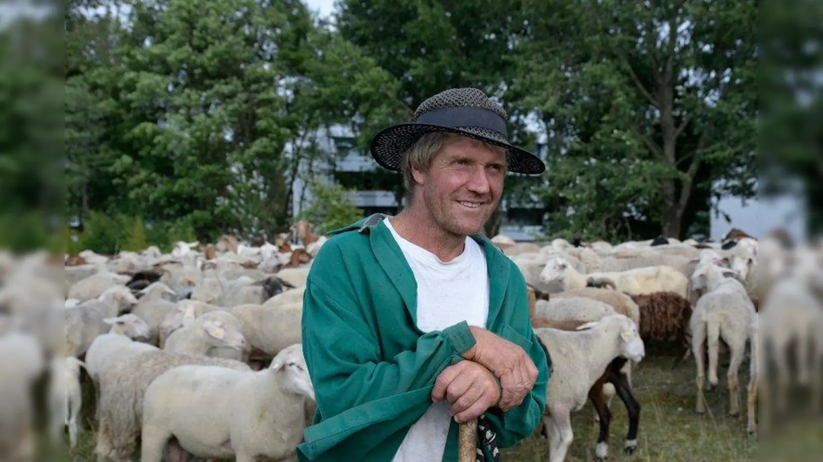 Er heißt zwar „Fischer” ist aber „Schäfer”. Bernhard Fischer mit seiner Herde vor der Gewofag-Siedlung. (Foto: Gewofag)