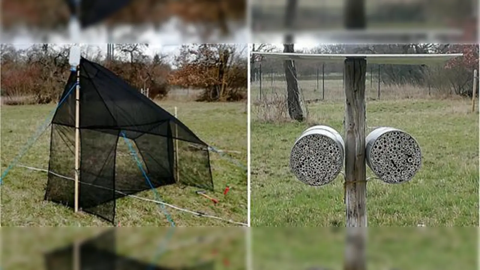 Ende März wurden auf  dem Parkfriedhof eine Zeltfalle zur Insektenerfassung sowie Nisthilfen für Wildbienen aufgestellt.	 (Foto: Technische Universität München)
