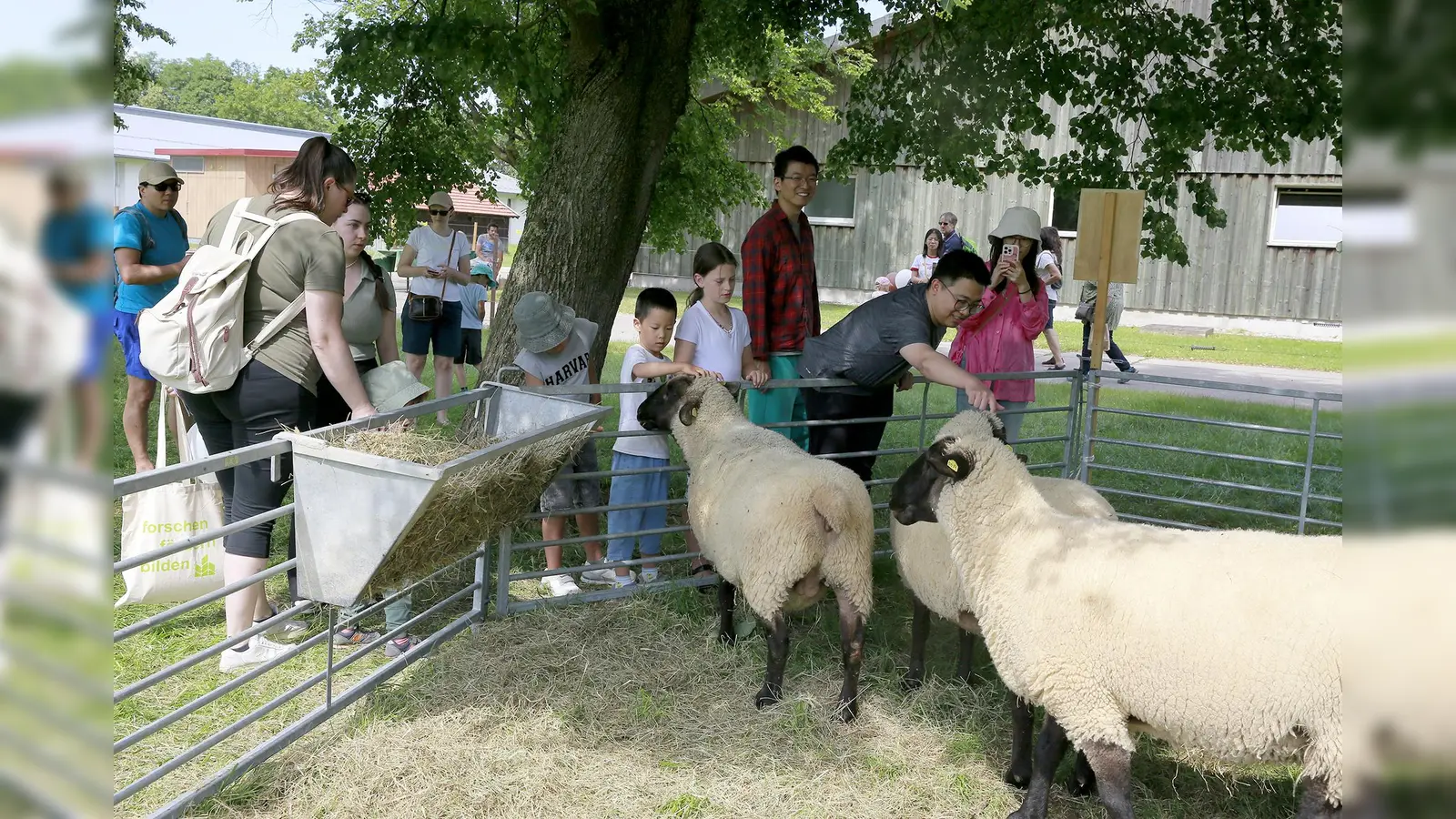 Beim Tag der offenen Tür konnte man das Leben auf einem Bauernhof hautnah miterleben.  (Foto: Gleixner)
