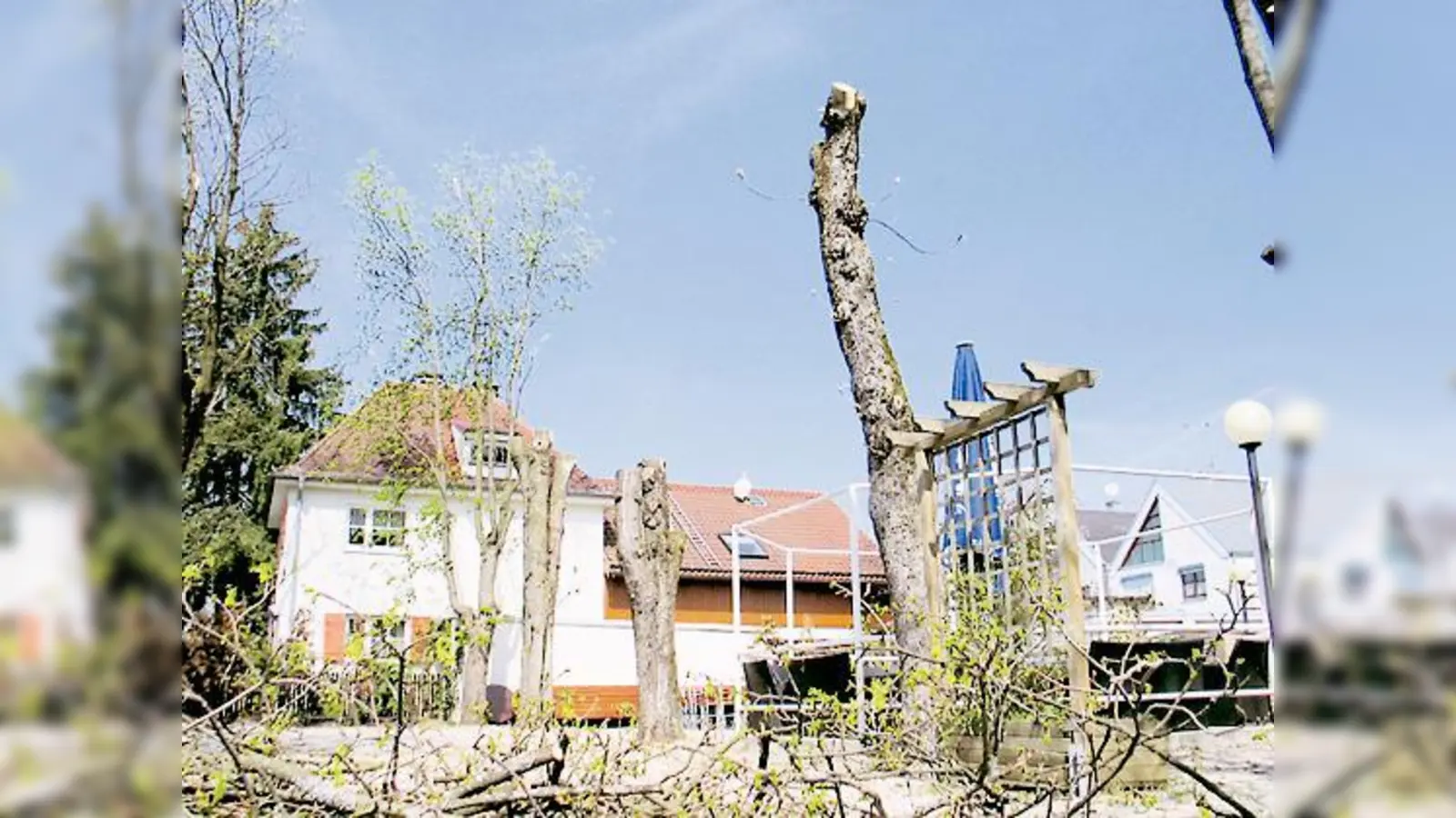 Im »Waldmeister« ist der Baumbestand geschrumpft  gegen den Willen der Behörden.  (Foto: aha)