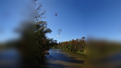 Spektakulär sieht es aus, wenn Bäume mittels Helikoptereinsatz gefällt werden. (Foto: Gemeinde Ismaning)