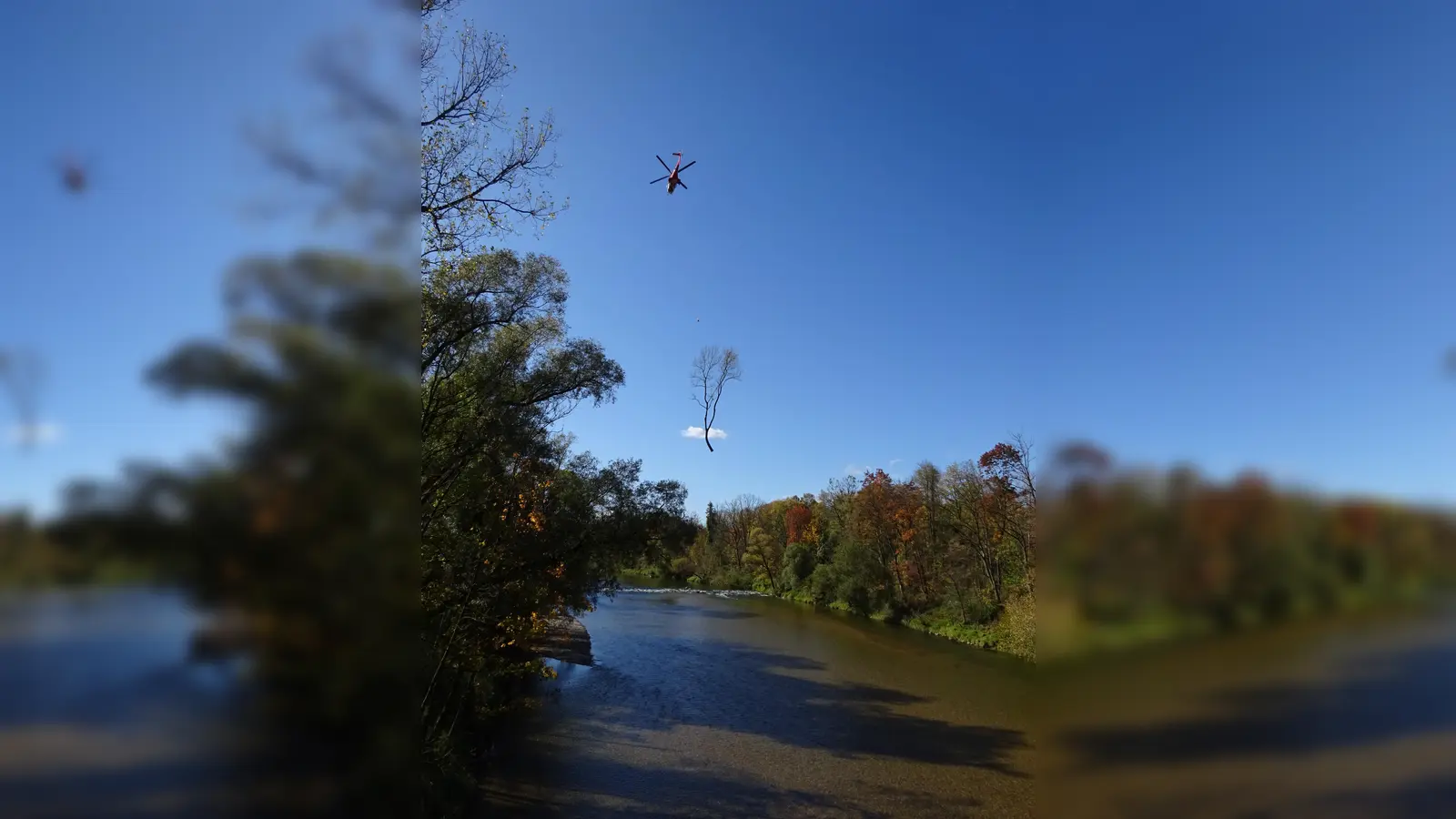 Spektakulär sieht es aus, wenn Bäume mittels Helikoptereinsatz gefällt werden. (Foto: Gemeinde Ismaning)