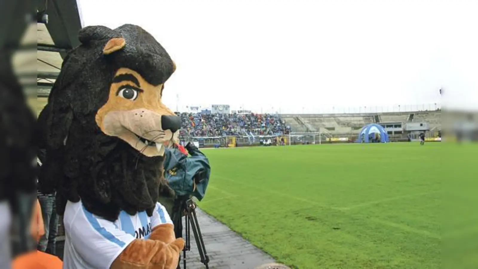 Die Sanierung und Renovierung 2012 des Sechzger-Stadions wird dessen Antlitz  deutlich verändern. 	 (Foto: HH)