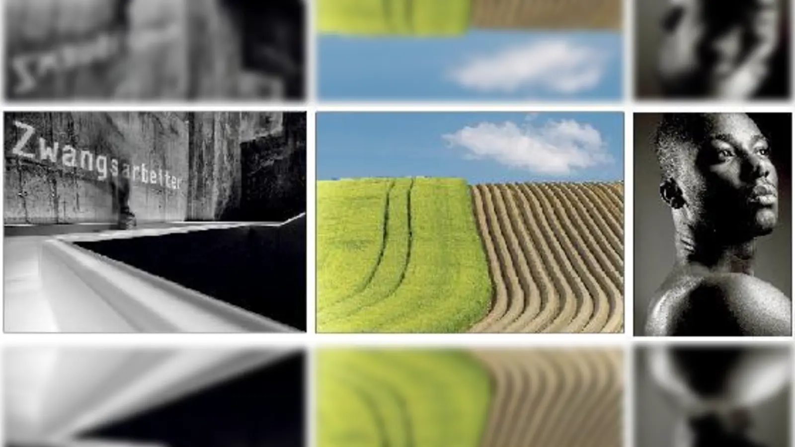 Garching · Wettbewerb im Fotoclub »CC 77« (Foto: red)