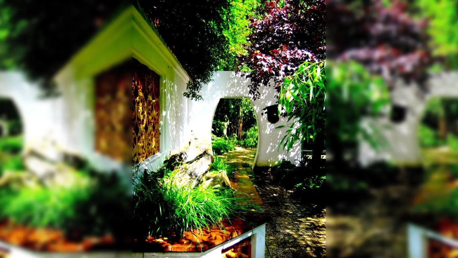 Chinesische Gartenkunst  im Westpark kann man sie intuitiv erleben.	 (Foto: VA)