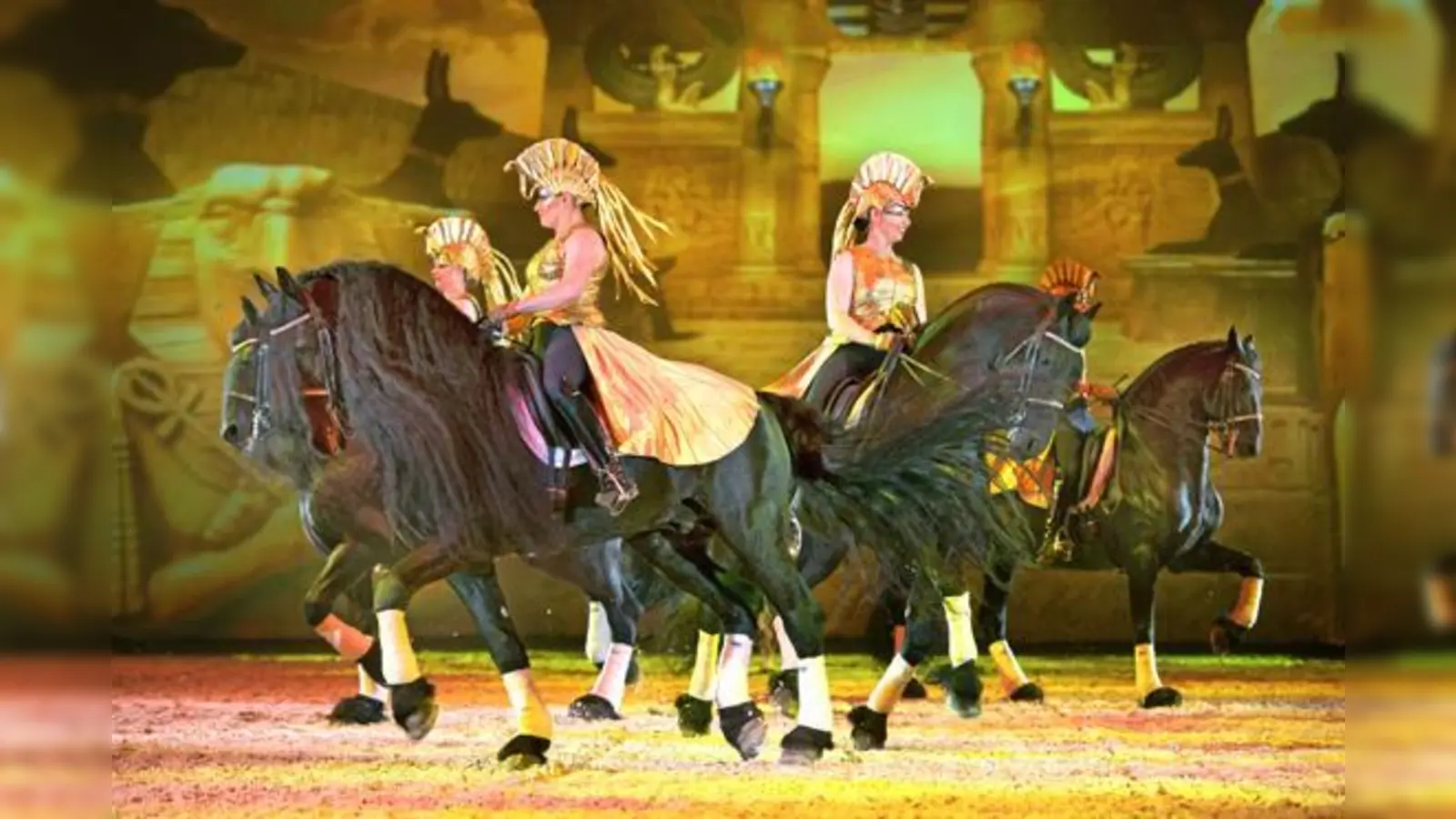 Friesen-Equipe-Chefin Petra Geschonneck hat ihr Herz schon früh an die stolzen Friesen verloren. Seit über zehn Jahren ist sie mit ihrem Gespann Teil der Apassionata-Familie und erfreut ihr Publikum. 	 (Foto: Veranstalter)