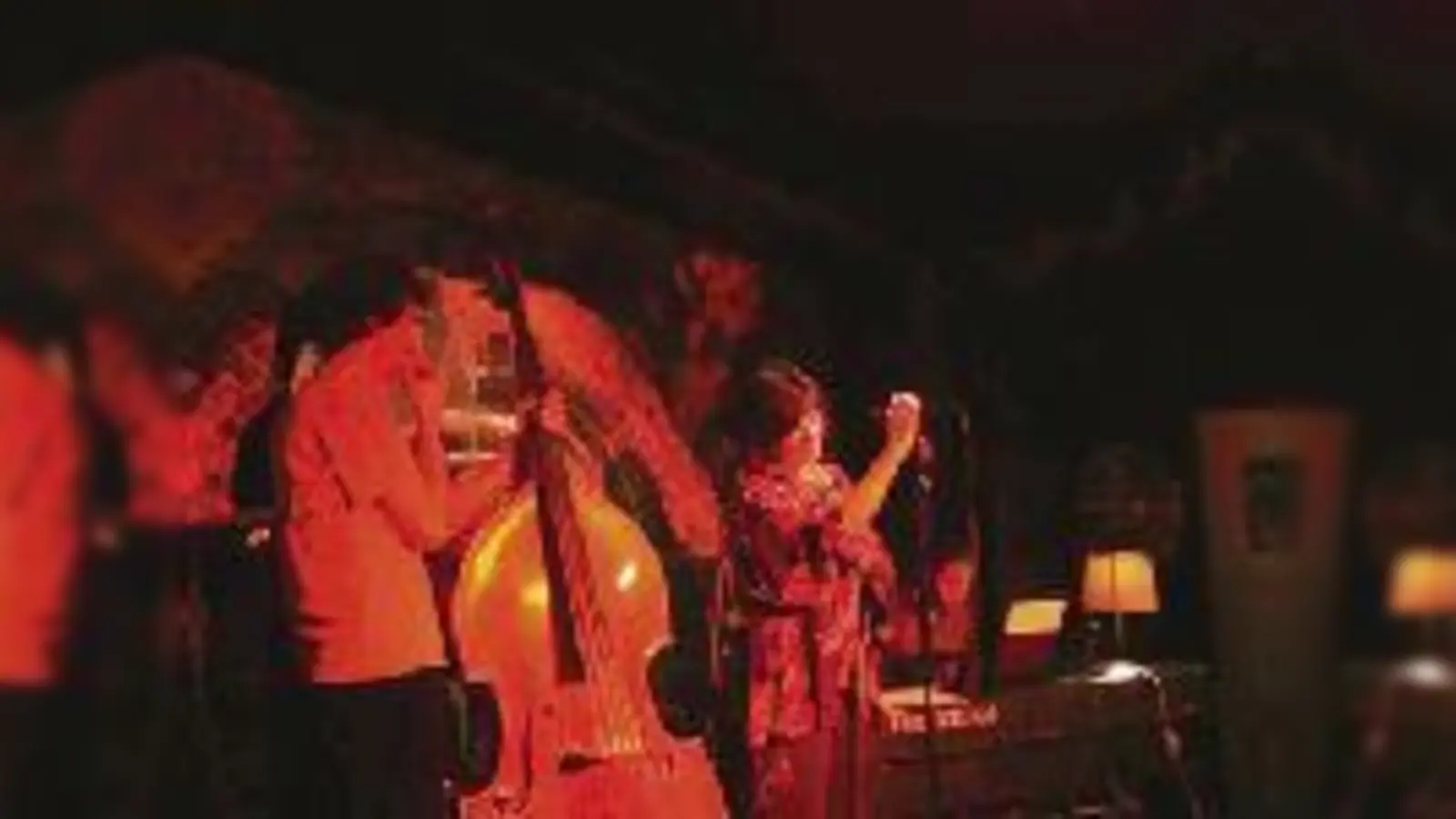 Kein Krawall, sondern ein Highlight für Jazz-Fans: »Sisi und Franz«.  (Foto: VA)