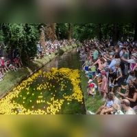 Wie in jedem Jahr veranstaltet der Lions Club München-Blutenburg auch in diesem Jahr sein <br>traditionelles „Entenrennen“, für das jetzt schon die Vorbereitungen im vollen Gang sind. (Foto: Lions Club)