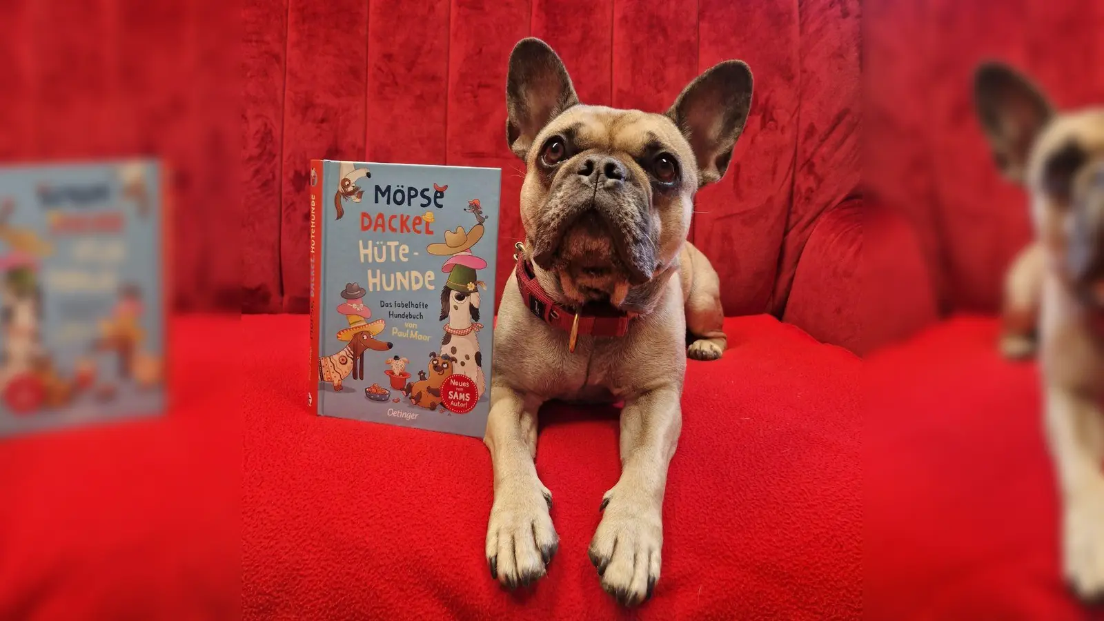 Auf die Lesung mit Hund Frieda darf man sich im Mai in der Bücherei Vaterstetten freuen. (Foto: Bücherei Vaterstetten)