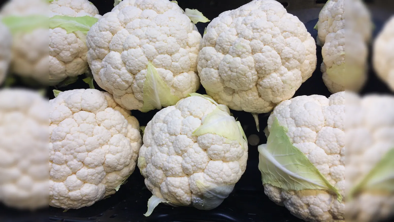 Mit gutem Gewissen einkaufen: Blumenkohl ist nur eine von vielen Gemüsesorten, die es gerade frisch zu ernten gibt. (Foto: Daniel Mielcarek)