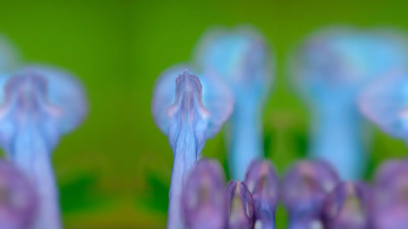 Nahaufnahme: Die Ausstellung „Nah weg – weit dran” von Petra Bauer-Wolfram ist im Städtischen Klinikum Thalkirchner Straße zu sehen. (Foto: Petra Bauer-Wolfram)