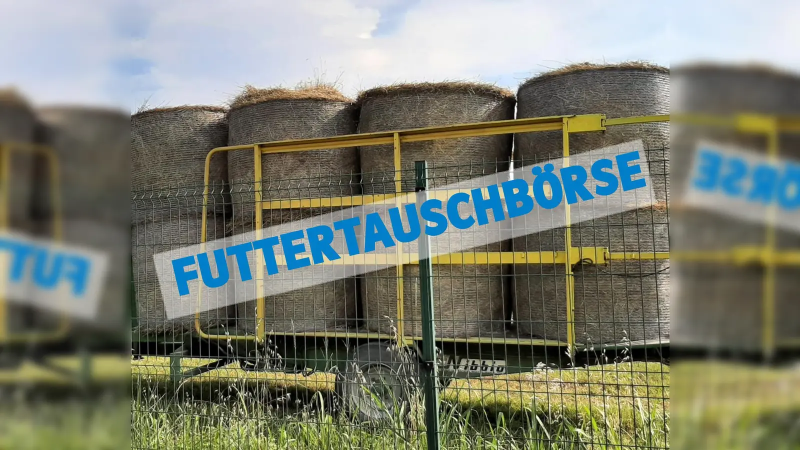 Eine Futtertauschbörse ist für vom Hochwasser betroffenen Landwirte eingerichtet worden. (Foto: ELF)